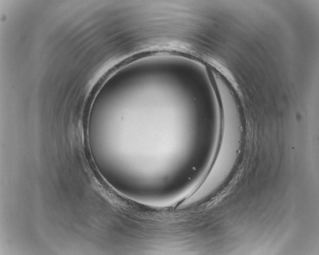 X0000065240936200602171420