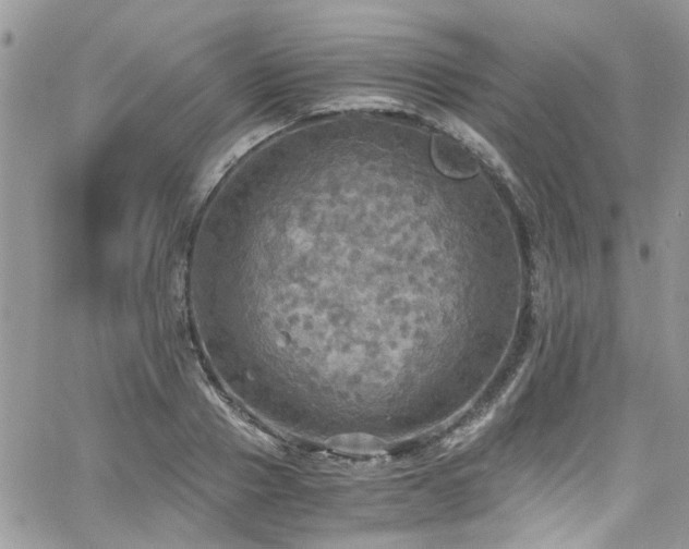 X0000065240937200602171420