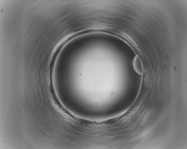 X0000065240939200602171420