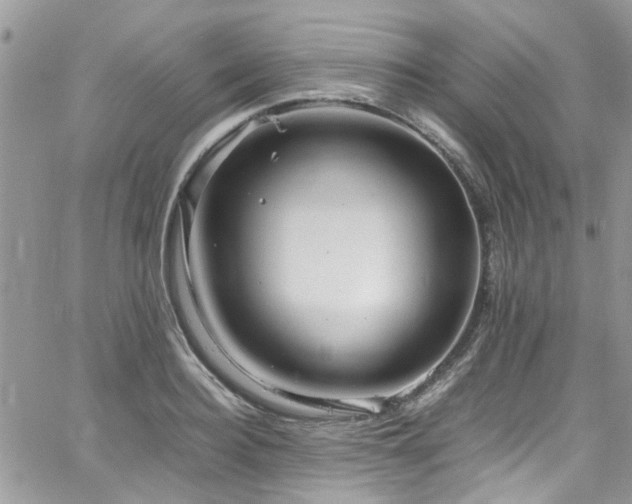 X0000065240940200602171420