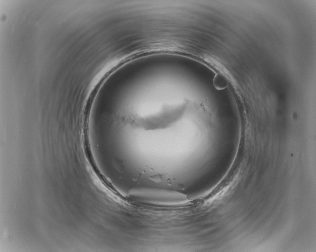 X0000065240941200602171420