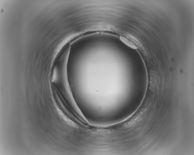 X0000065240942200602171420