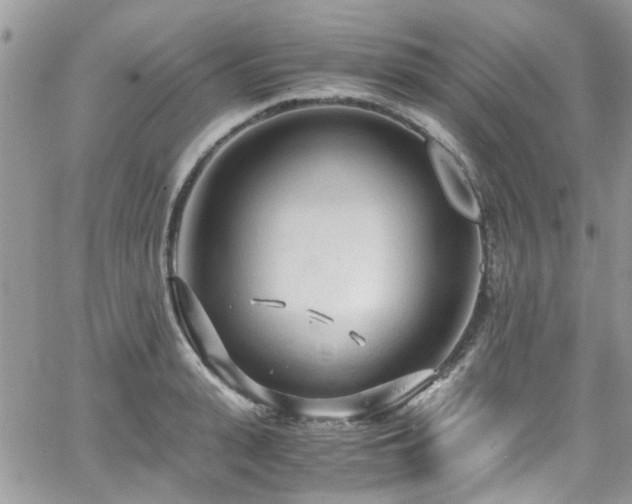 X0000065240943200602171420