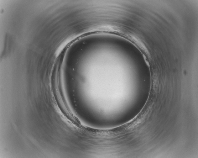 X0000065240944200602171420