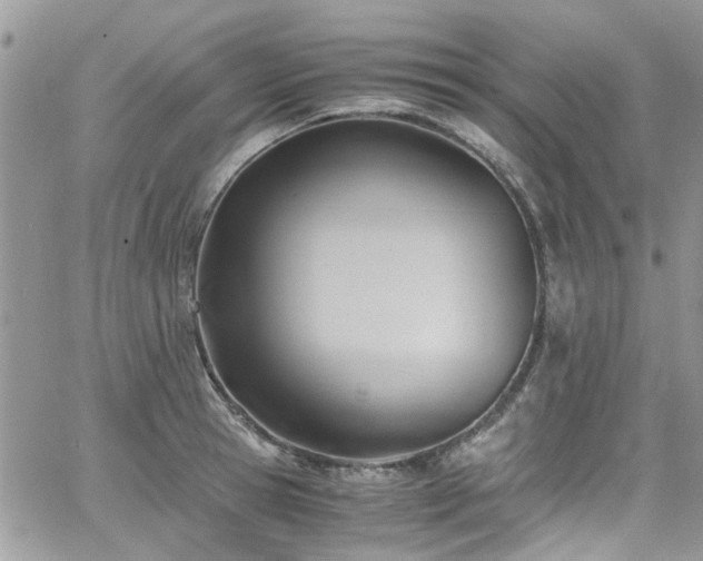 X0000065240945200602171420