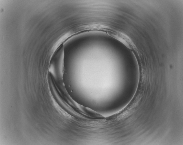 X0000065240946200602171420