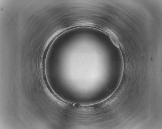 X0000065240947200602171420