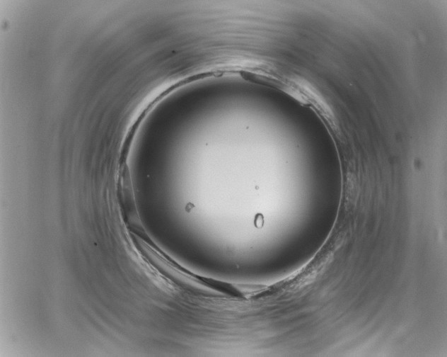 X0000065240948200602171420