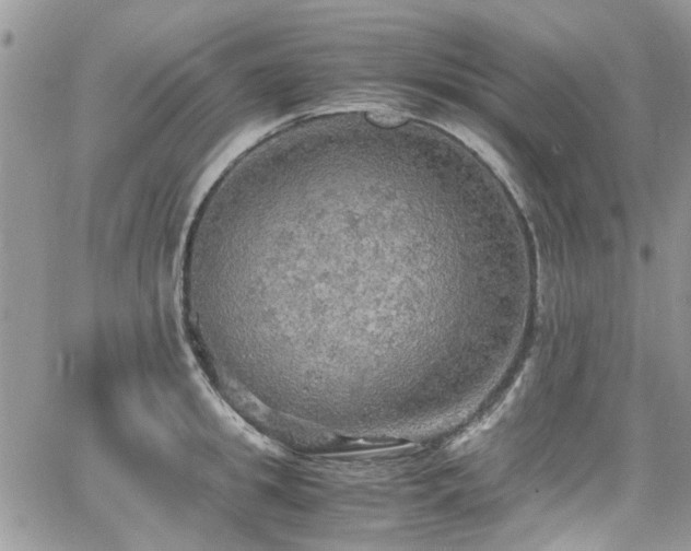 X0000065240949200602171420