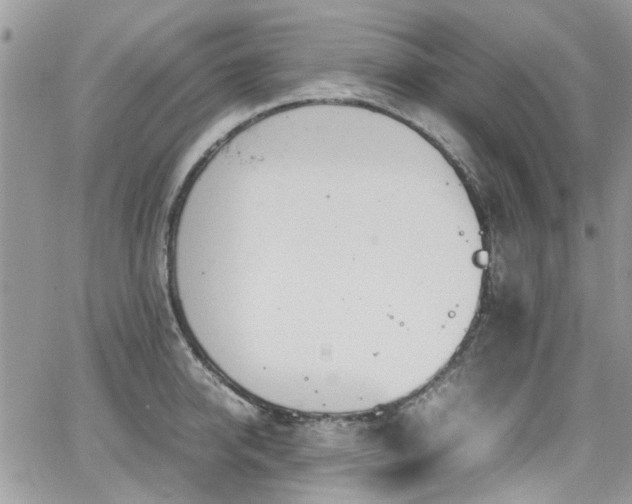 X0000065240950200602171420