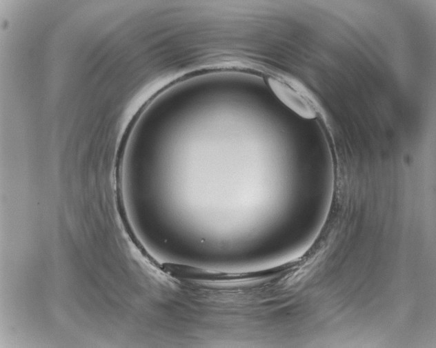 X0000065240951200602171420