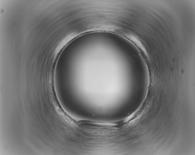 X0000065240952200602171420