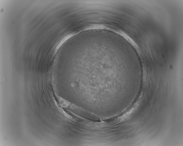 X0000065240953200602171420