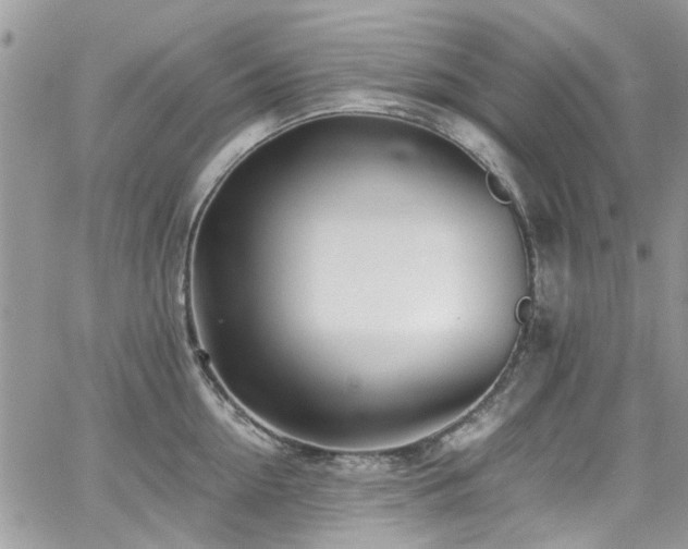 X0000065240954200602171420