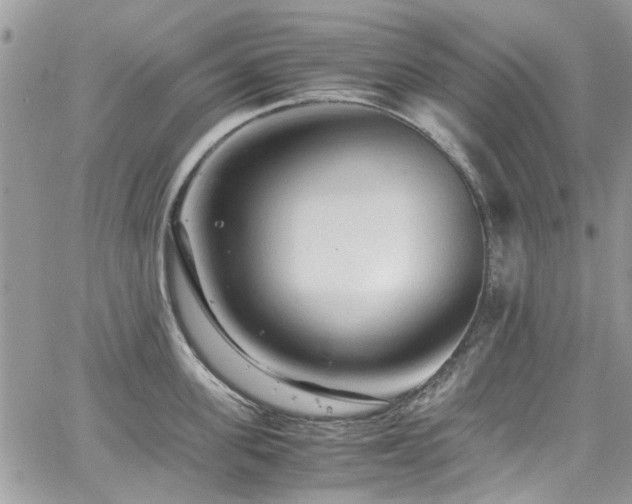 X0000065240955200602171420