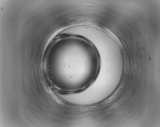 X0000065240956200602171420