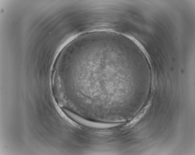 X0000065240957200602171420