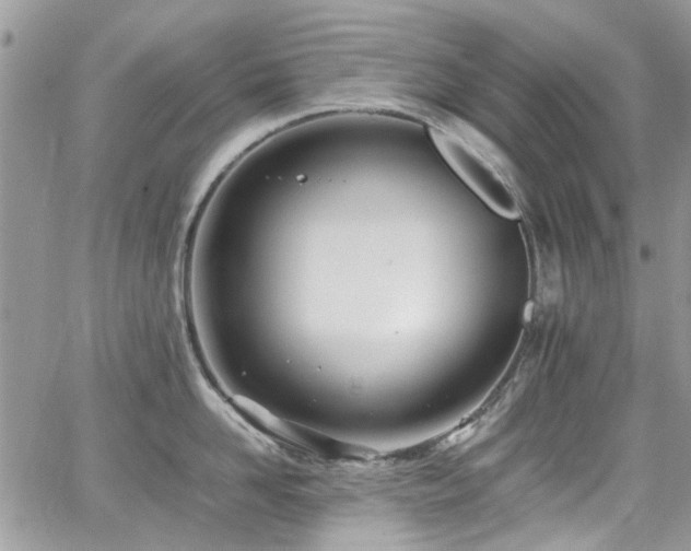 X0000065240958200602171421