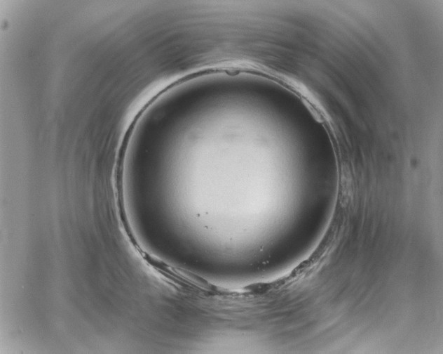 X0000065240959200602171421