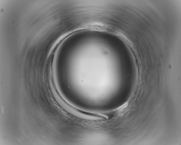 X0000065240960200602171421