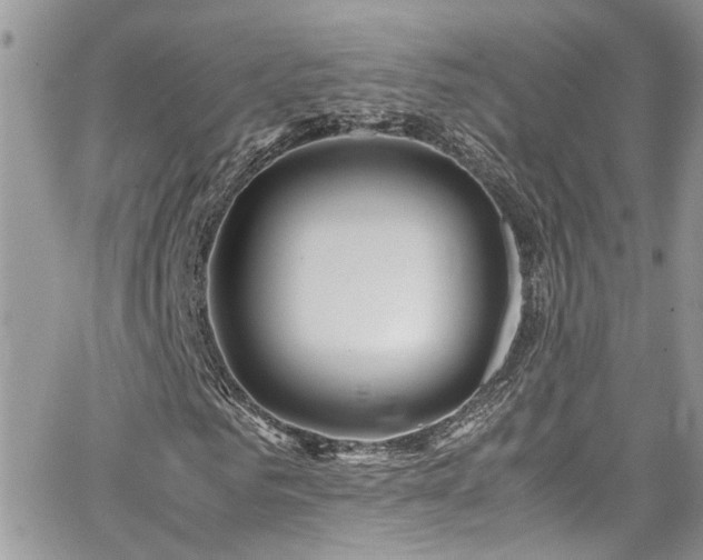 X0000065240961200602171420