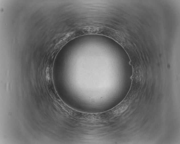 X0000065240962200602171420