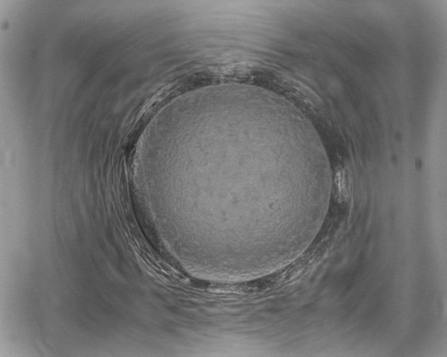 X0000065240963200602171420