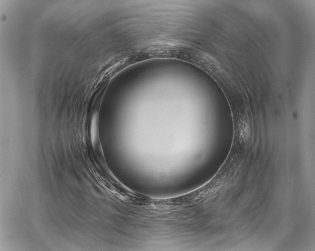 X0000065240964200602171420