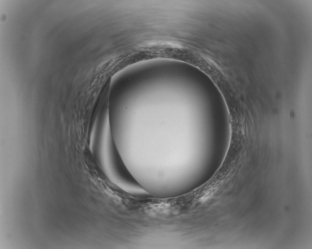 X0000065240965200602171420