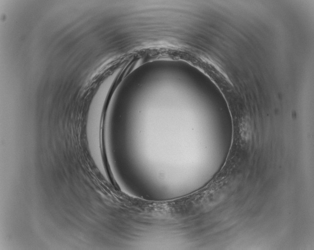 X0000065240968200602171420