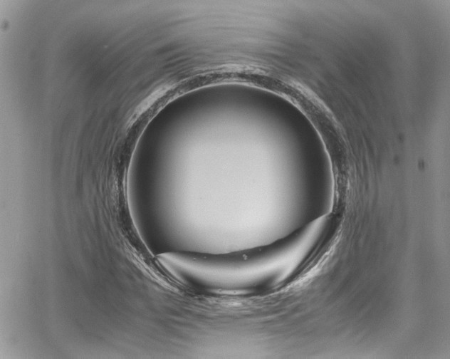 X0000065240969200602171420