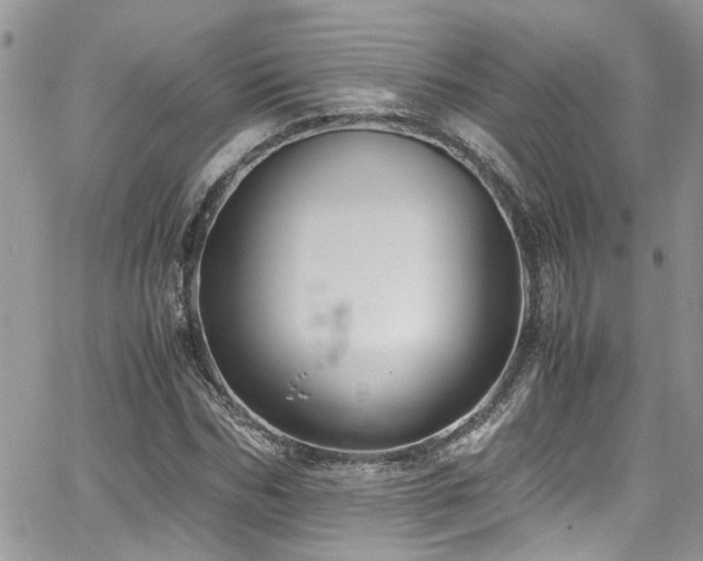 X0000065240970200602171420