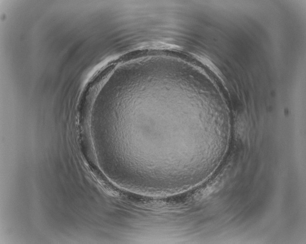 X0000065240971200602171420