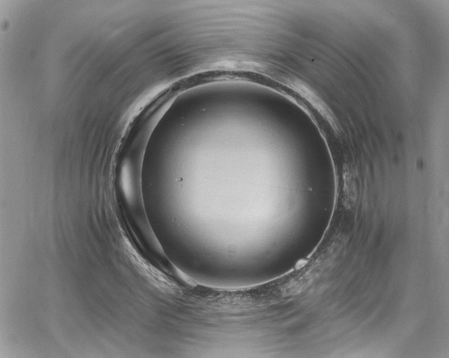 X0000065240972200602171420