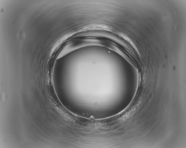 X0000065240973200602171420