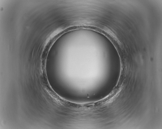 X0000065240974200602171420