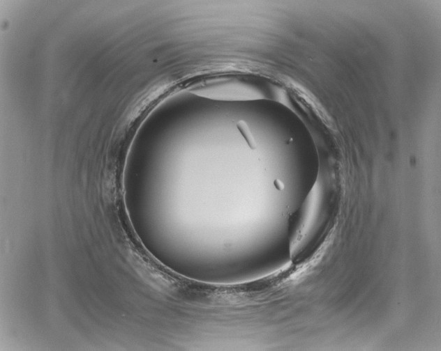 X0000065240977200602171420