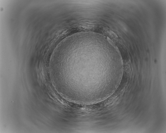 X0000065241009200602171418