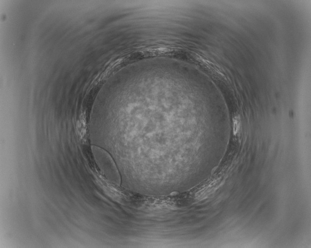 X0000065241011200602171418