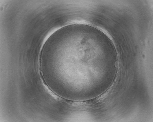 X0000065241056200602171419