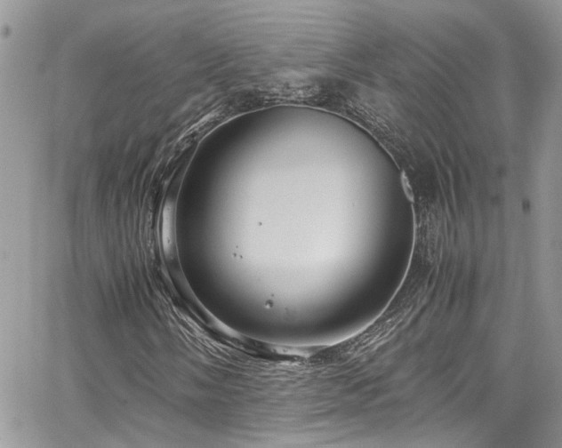 X0000065241058200602171418