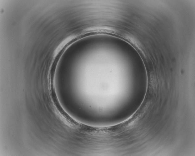 X0000065241082200602171418