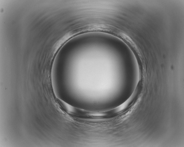 X0000065241089200602171418