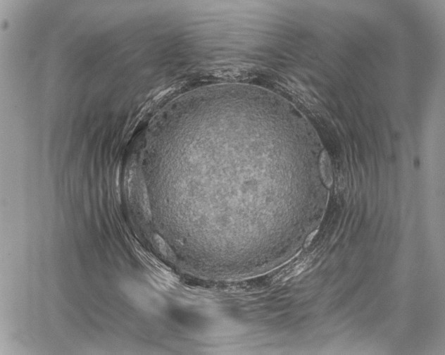 X0000065241106200602171417