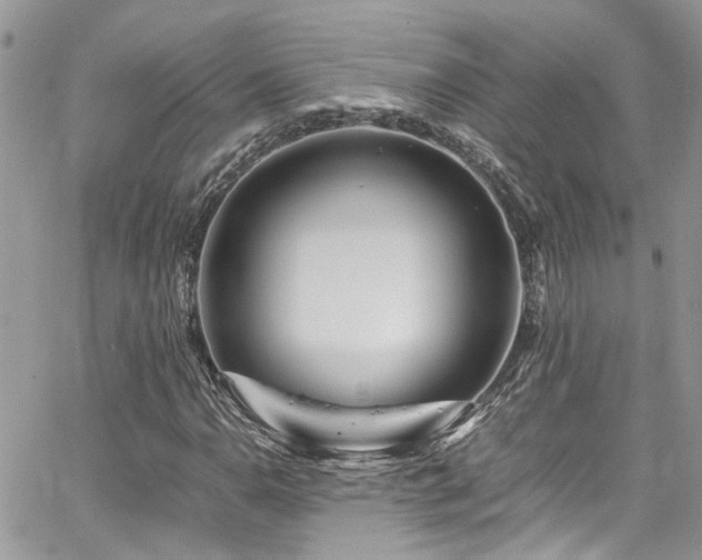X0000065241110200602171417