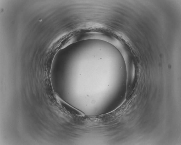 X0000065241112200602171417