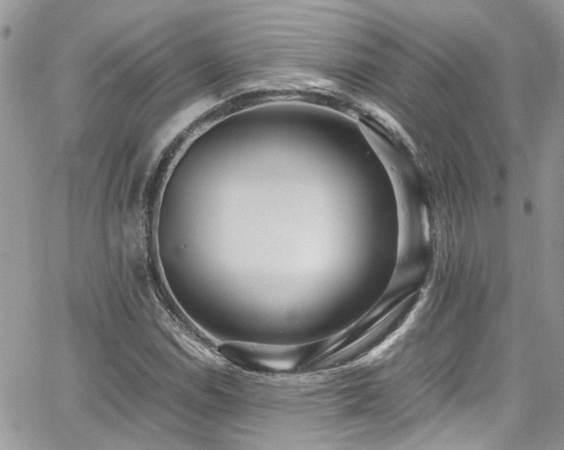 X0000065241114200602171417