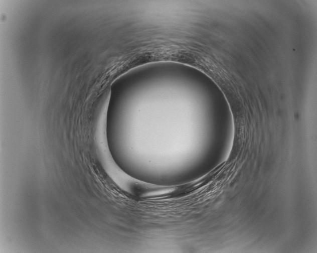 X0000065241153200602171417