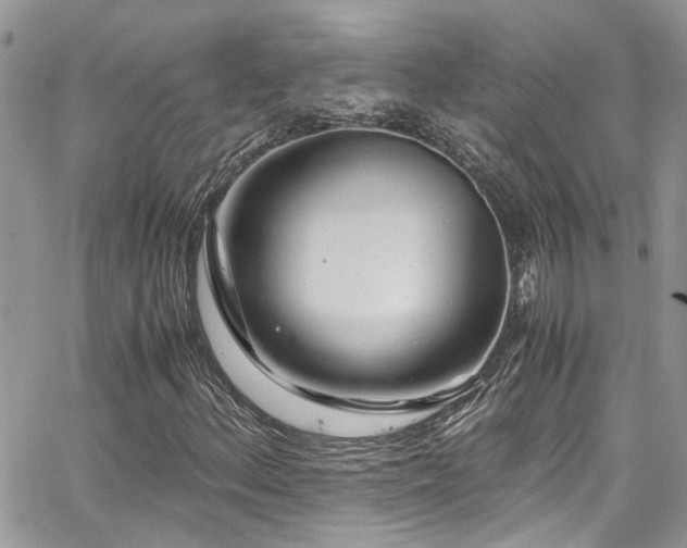 X0000065241156200602171417