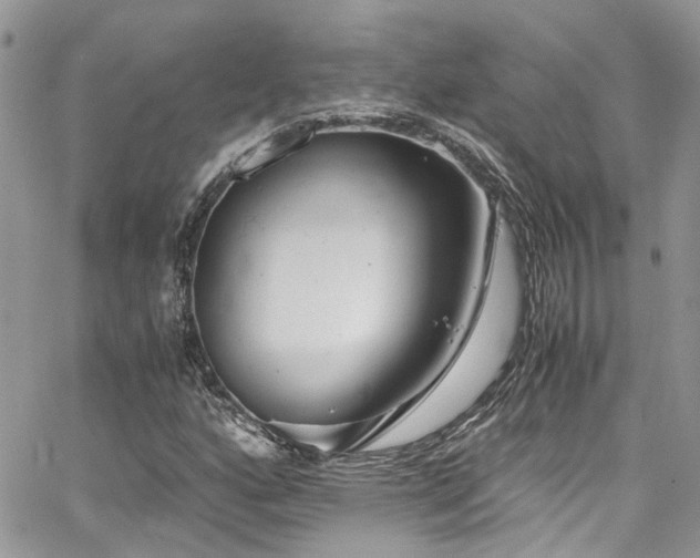 X0000065241160200602171416